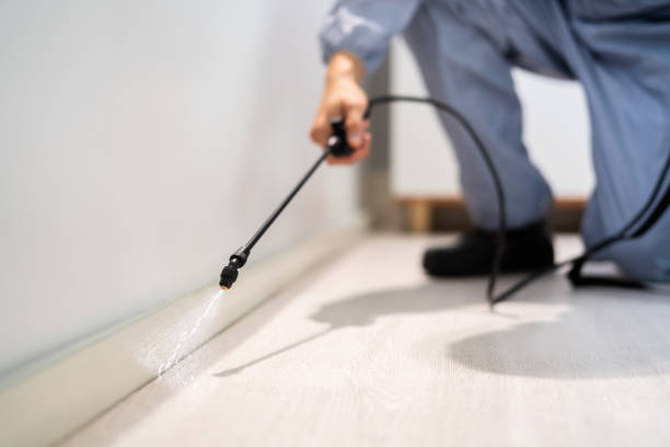 Certified termite inspector examining foundation in Hudson
